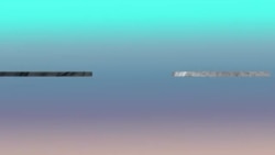 Стихийный бизнес в центре Воронежа Стихийный бизнес в центре Воронежа