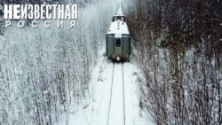 Узкоколейка в Тайге Узкоколейка в Тайге