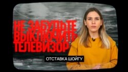 Об отставке Шойгу  Об отставке Шойгу