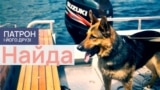 Dogs_Thumbs_08_Nayda_PF