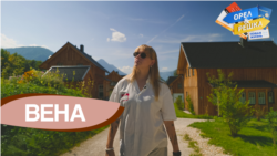 Вена Вена