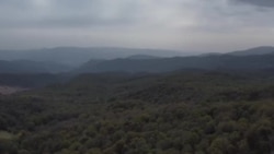 Кто зарабатывает на орехах Джалал-Абада Кто зарабатывает на орехах Джалал-Абада