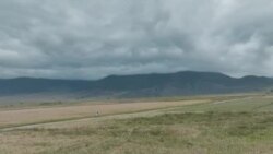 Фельдшер на лошади