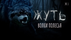 Волки Полесья Волки Полесья